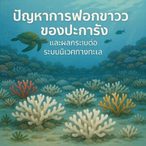 ปะการังฟอกขาวสาเหตุและผลกระทบต่อระบบนิเวศทางทะเล